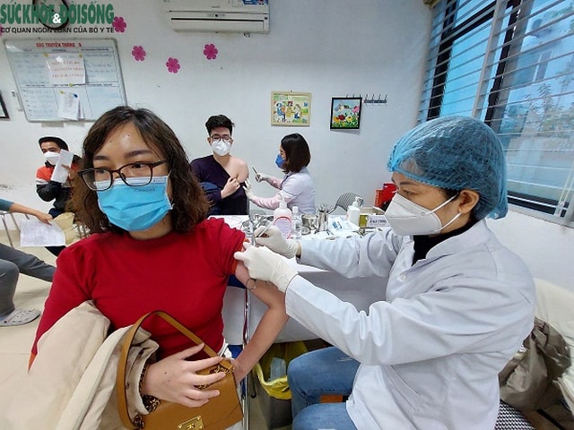 Chiều 24/3: Đã tiêm hơn 204 triệu liều vaccine phòng COVID-19; F1 ở TP HCM đã tiêm đủ liều vaccine đi học, đi làm - Ảnh 1.
