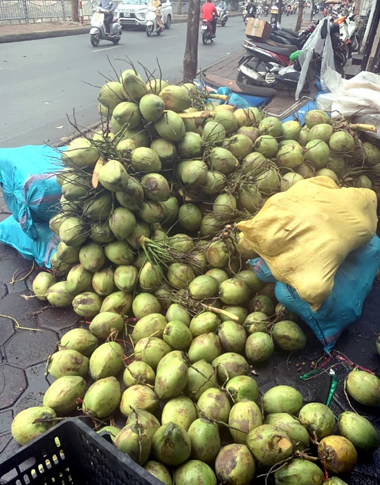 Đổ xô mua bù nước điện giải, giá dừa xiêm tăng gấp đôi  - Ảnh 2.