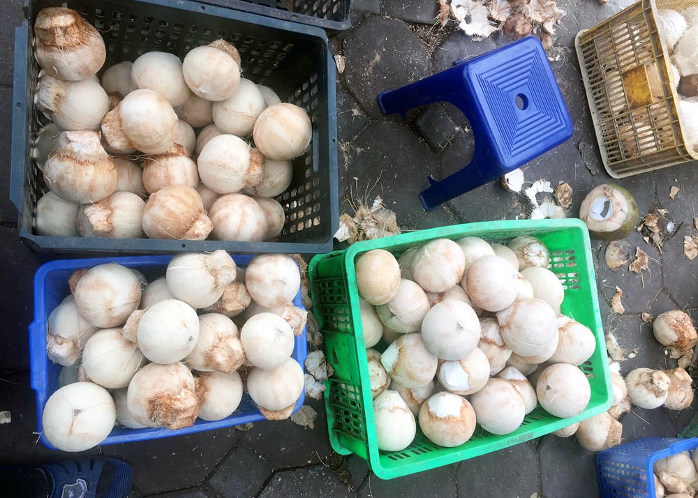 Đổ xô mua bù nước điện giải, giá dừa xiêm tăng gấp đôi  - Ảnh 1.