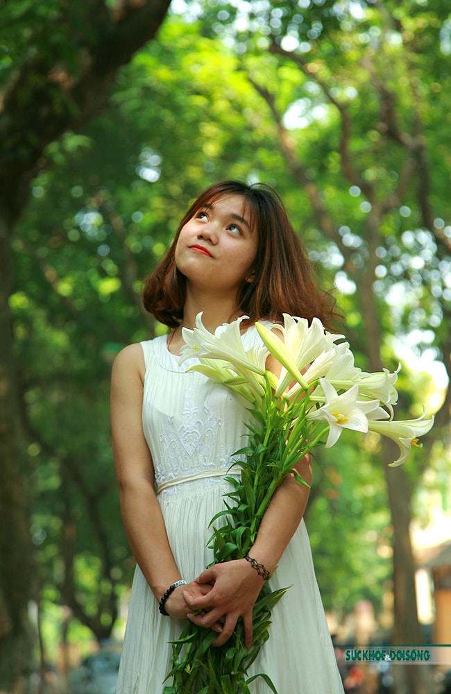 Tháng 4 về -  Hoa loa kèn dịu dàng trên phố - Ảnh 4.