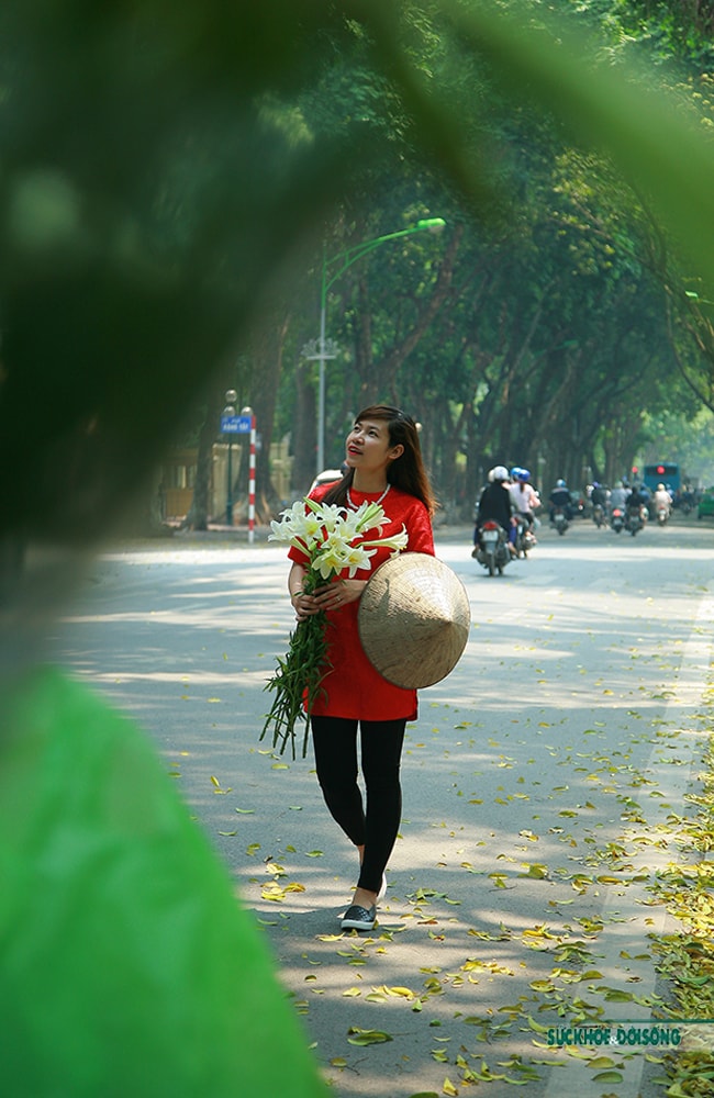 Tháng 4 về -  Hoa loa kèn dịu dàng trên phố - Ảnh 9.