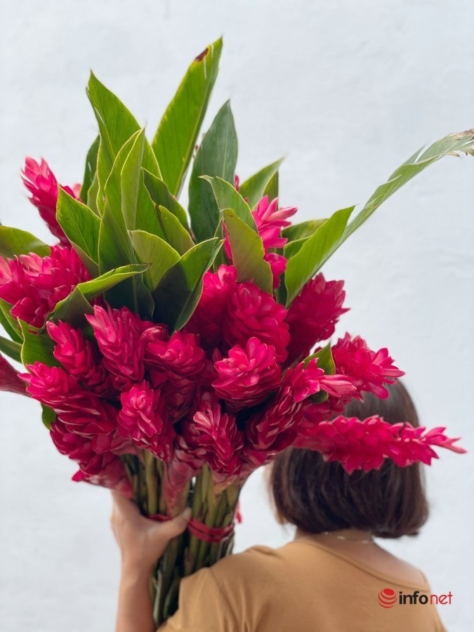 Ngỡ ngàng những bông hoa rực đỏ mang tên hạnh phúc xuất hiện trên thị trường - Ảnh 4.
