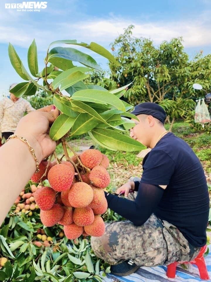 Vải đầu mùa xuất hiện, giá ‘chát’ nhưng vẫn cháy hàng - Ảnh 1.