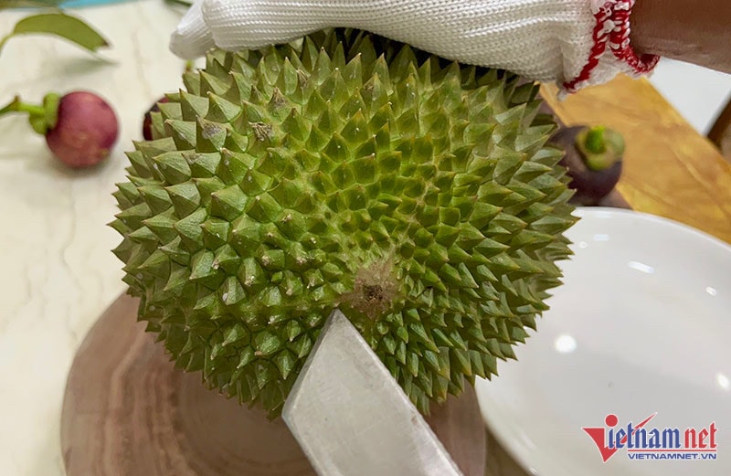 Khu vườn sầu riêng Musang King sai trĩu cành, chờ chín rụng bán 3 triệu/quả - Ảnh 7.