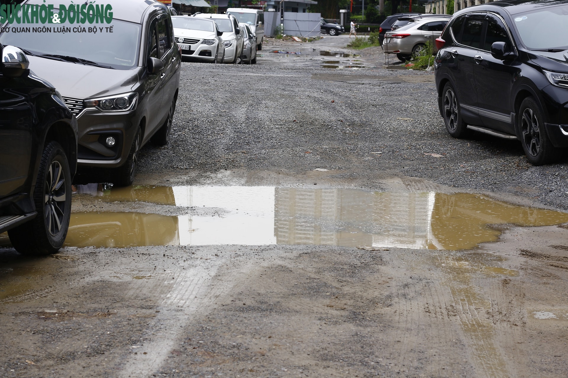 - Ảnh 16. - Ảnh 16.