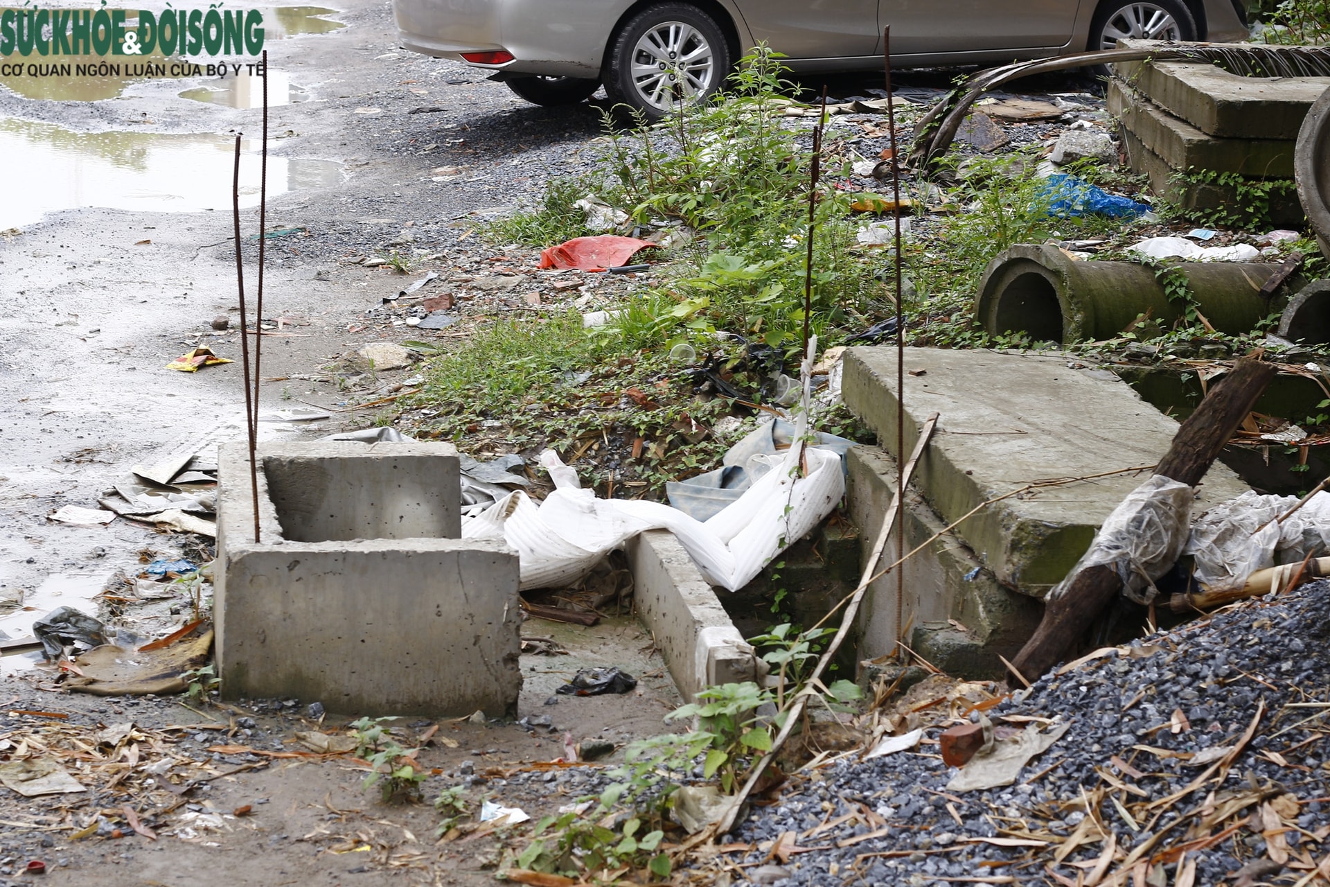 - Ảnh 14. - Ảnh 14.