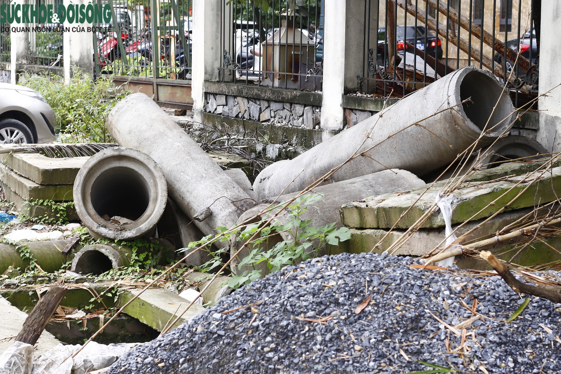 - Ảnh 13. - Ảnh 13.