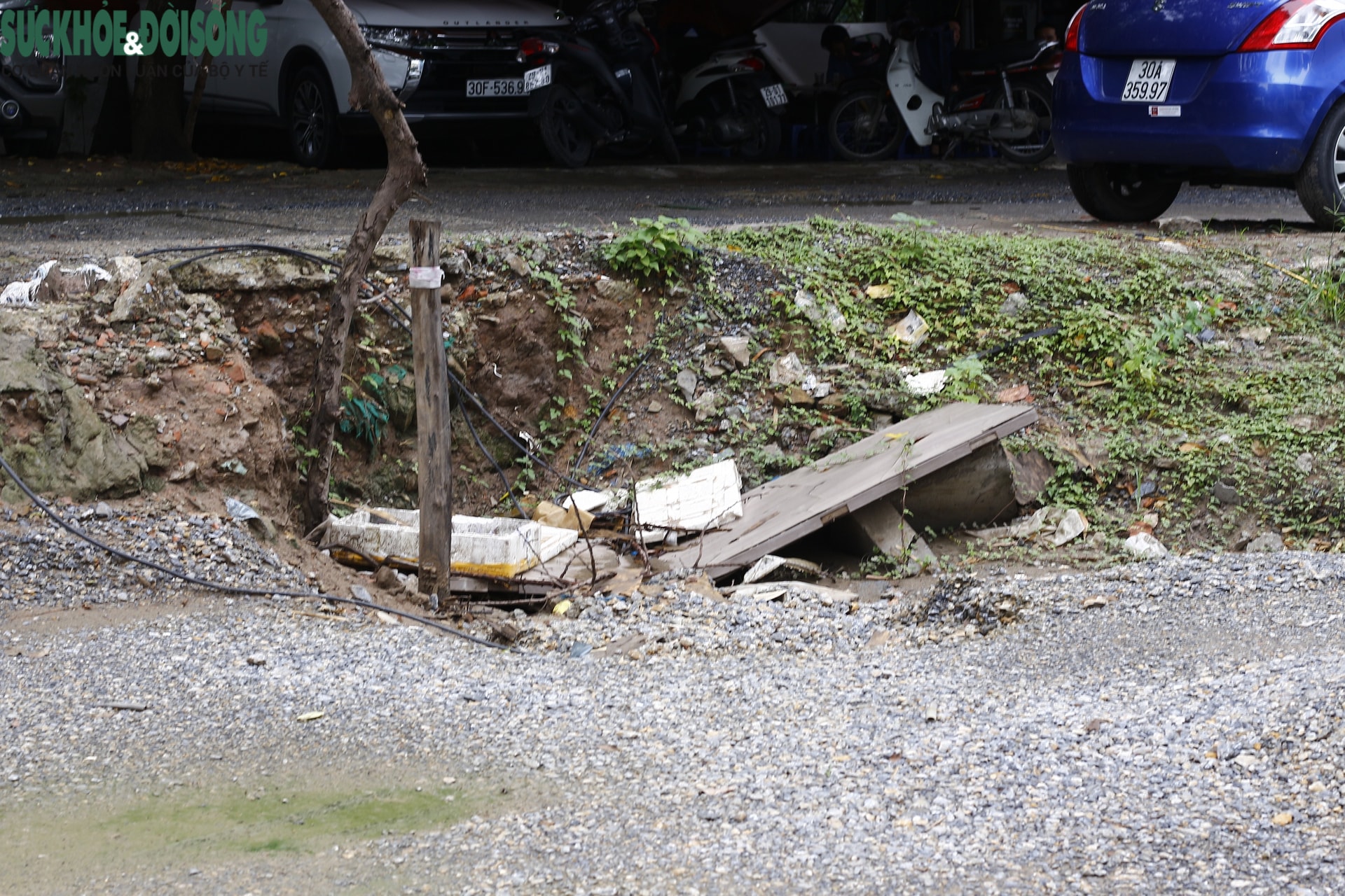 - Ảnh 12. - Ảnh 12.