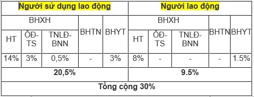Mức đóng BHXH bắt buộc, BHTN, BHYT từ ngày 1/10/2022 mà người lao động và doanh nghiệp cần biết? - Ảnh 3.
