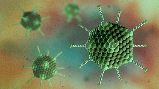 Trẻ mắc Adenovirus tăng đột biến, cha mẹ cần làm gì để phòng bệnh cho con? - Ảnh 2.