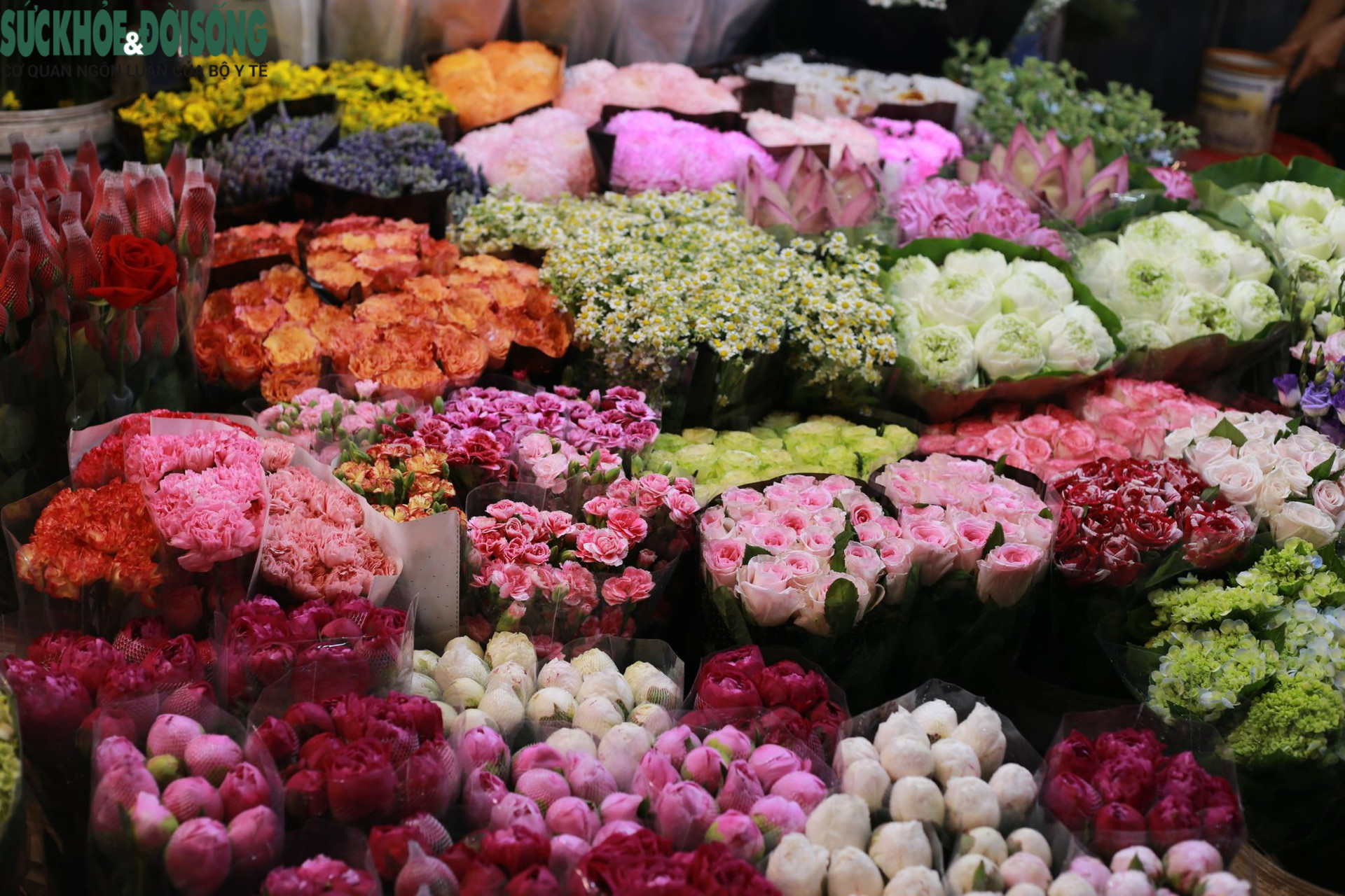 Những chợ hoa lớn nhất Hà Nội 'sôi động' trước giờ 'G' - Ảnh 9.