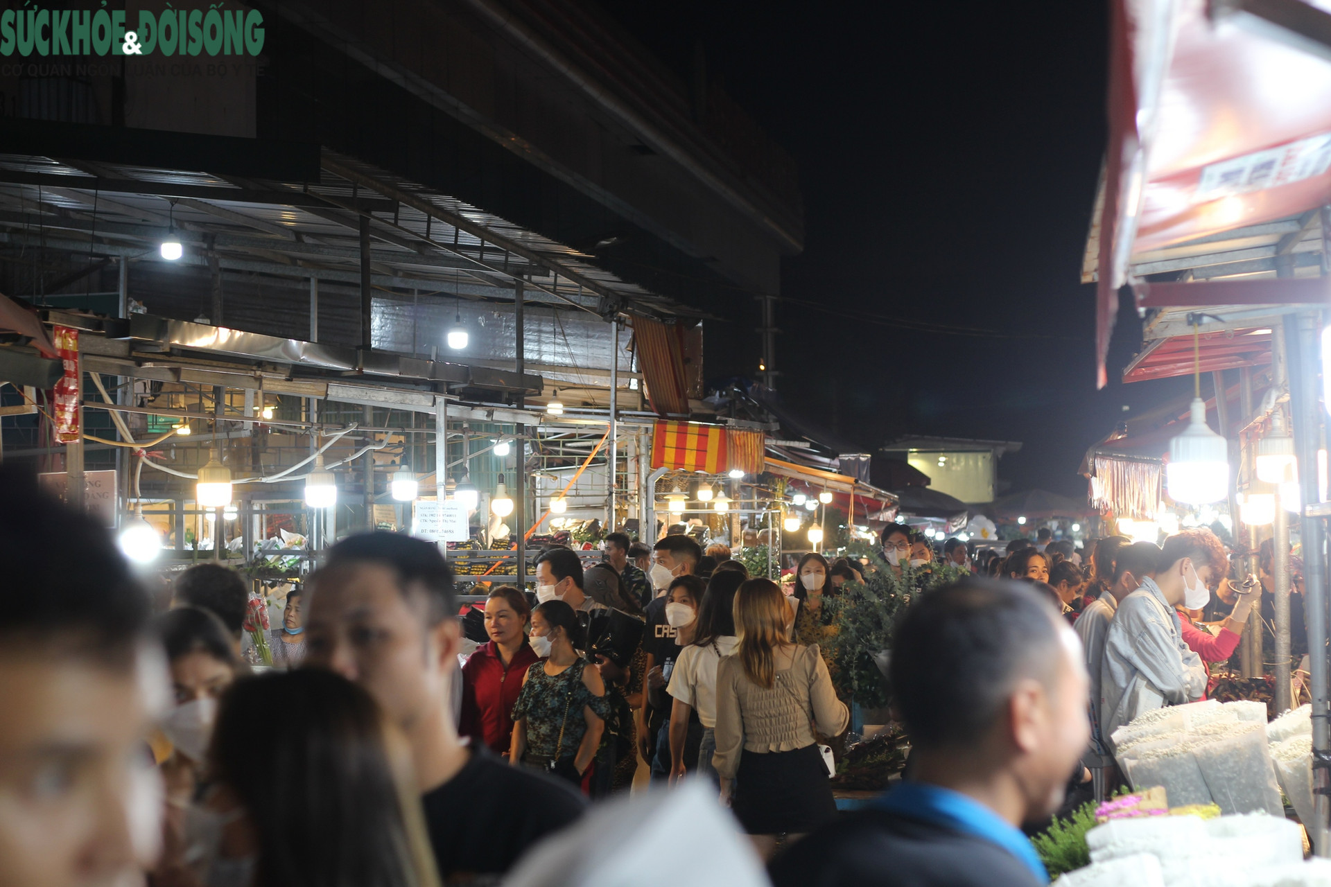Những chợ hoa lớn nhất Hà Nội 'sôi động' trước giờ 'G' - Ảnh 3.