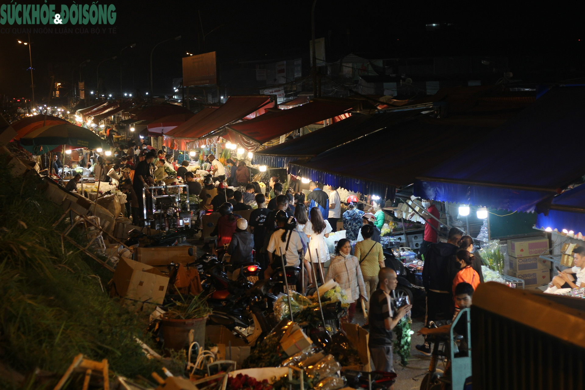 Những chợ hoa lớn nhất Hà Nội 'sôi động' trước giờ 'G' - Ảnh 1.