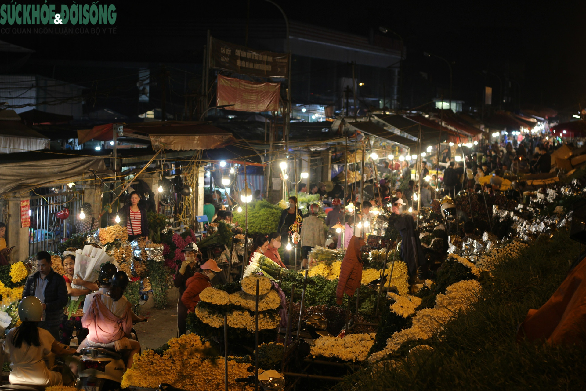 Những chợ hoa lớn nhất Hà Nội 'sôi động' trước giờ 'G' - Ảnh 19.