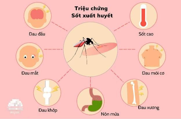 Thuốc hạ sốt, giảm đau nào không được dùng khi bị sốt xuất huyết?  - Ảnh 1.