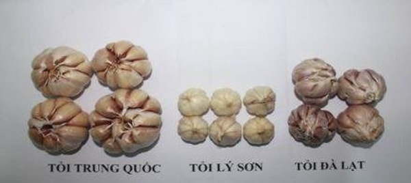 Phát hiện gần 12 tấn rau củ Trung Quốc giả mạo Đà Lạt chuẩn bị đưa đi tiêu thụ - Ảnh 3. Phát hiện gần 12 tấn rau củ Trung Quốc giả mạo Đà Lạt chuẩn bị đưa đi tiêu thụ - Ảnh 3.