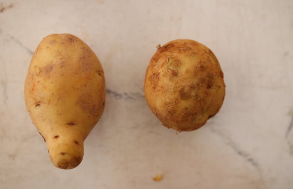 Phát hiện gần 12 tấn rau củ Trung Quốc giả mạo Đà Lạt chuẩn bị đưa đi tiêu thụ - Ảnh 5. Phát hiện gần 12 tấn rau củ Trung Quốc giả mạo Đà Lạt chuẩn bị đưa đi tiêu thụ - Ảnh 5.