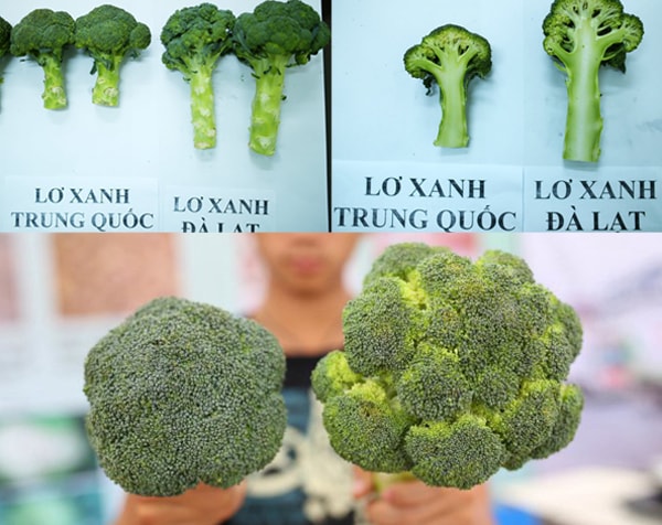 Phát hiện gần 12 tấn rau củ Trung Quốc giả mạo Đà Lạt chuẩn bị đưa đi tiêu thụ - Ảnh 6. Phát hiện gần 12 tấn rau củ Trung Quốc giả mạo Đà Lạt chuẩn bị đưa đi tiêu thụ - Ảnh 6.