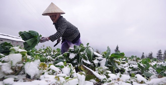 Chuyên gia cảnh báo đợt không khí lạnh rất mạnh, nhiệt độ có thể dưới 0 độ C - Ảnh 2.