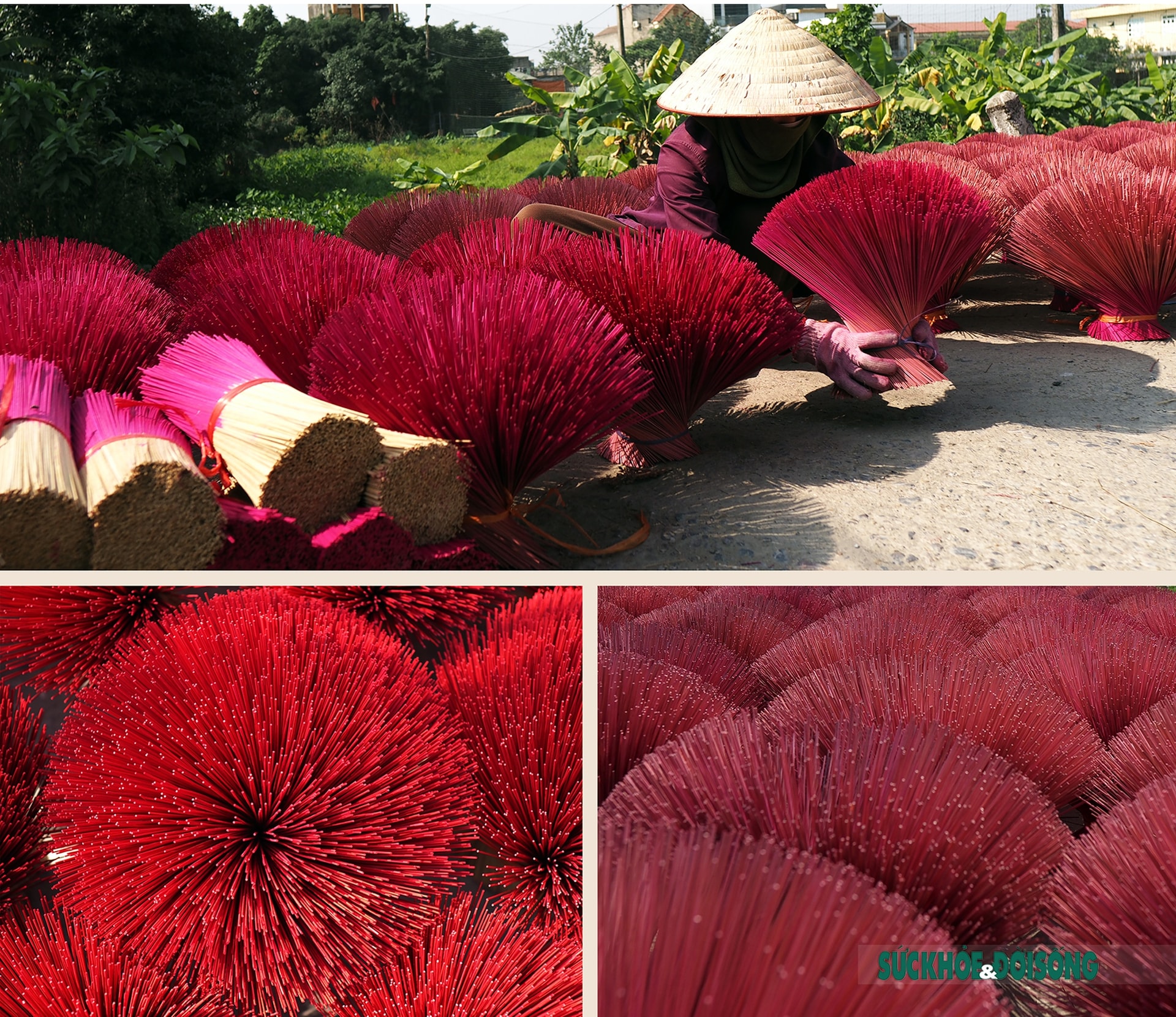 Những đóa tăm hương ở Quảng Phú Cầu Những đóa tăm hương ở Quảng Phú Cầu