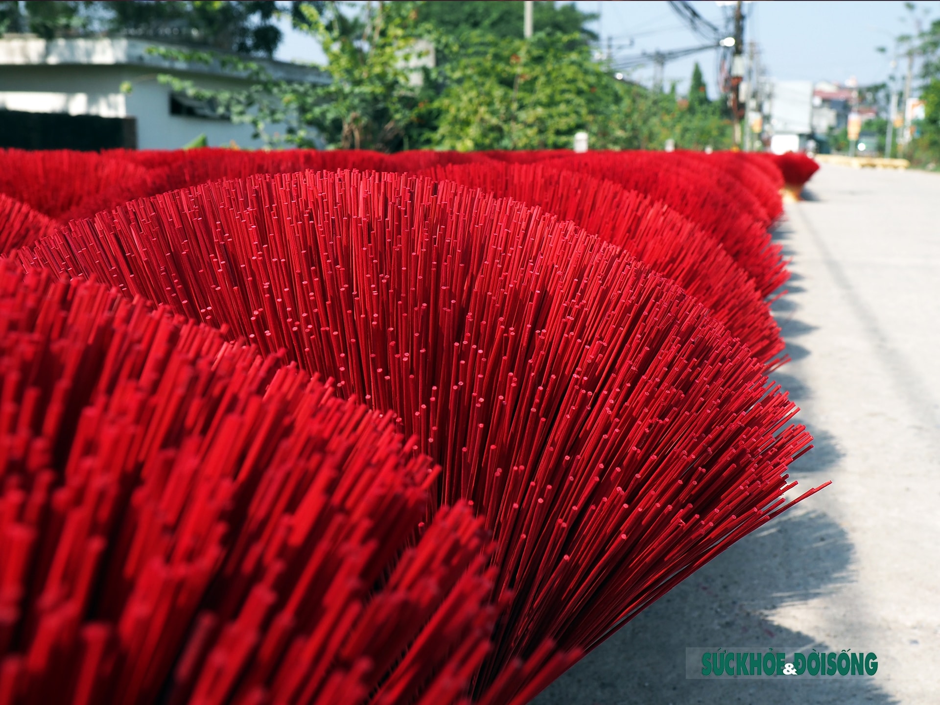 Những đóa tăm hương ở Quảng Phú Cầu Những đóa tăm hương ở Quảng Phú Cầu