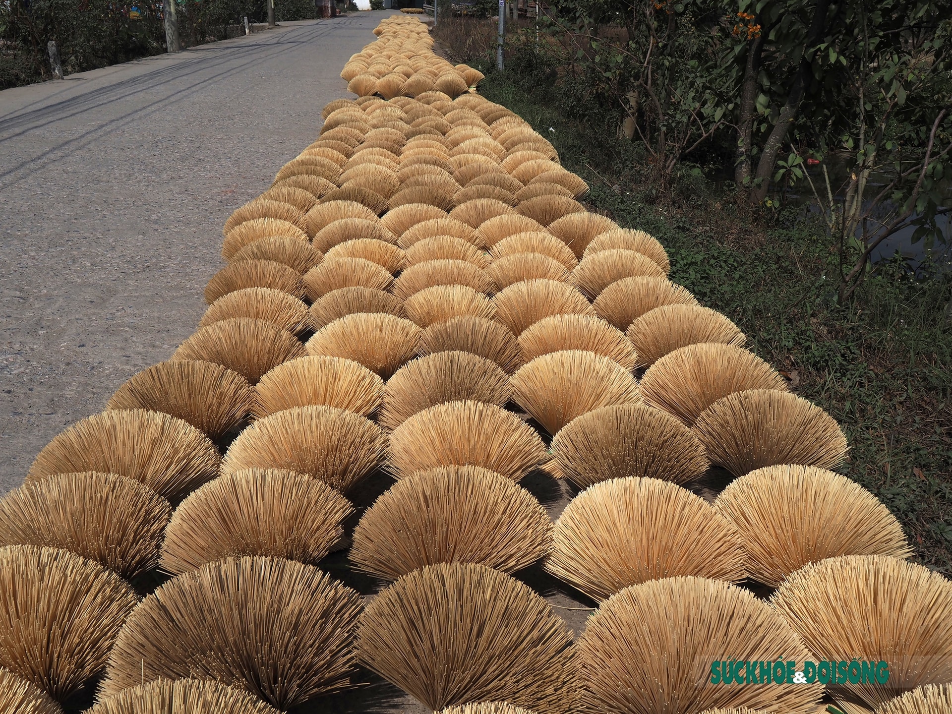 Những đóa tăm hương ở Quảng Phú Cầu Những đóa tăm hương ở Quảng Phú Cầu