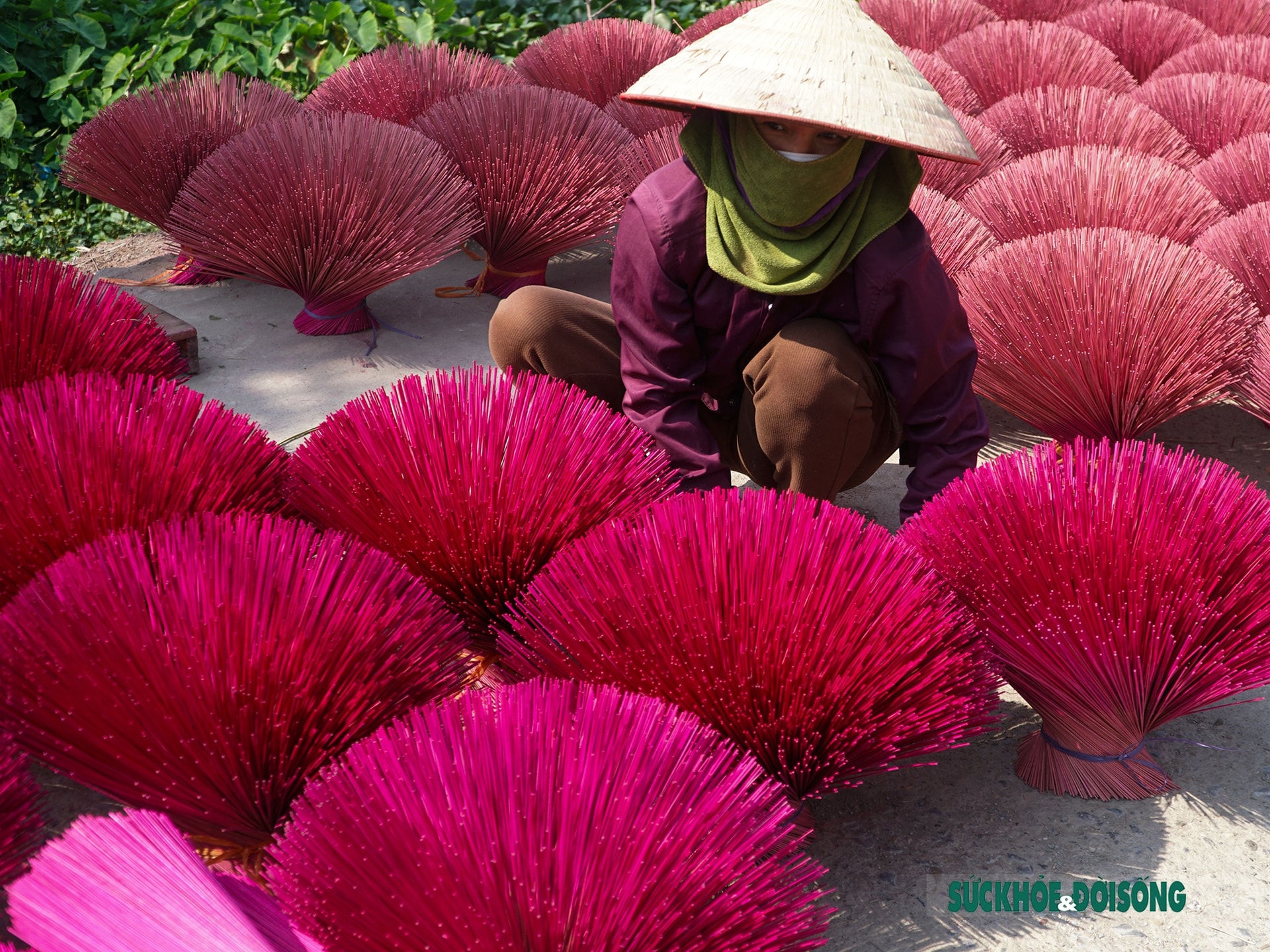 Những đóa tăm hương ở Quảng Phú Cầu Những đóa tăm hương ở Quảng Phú Cầu