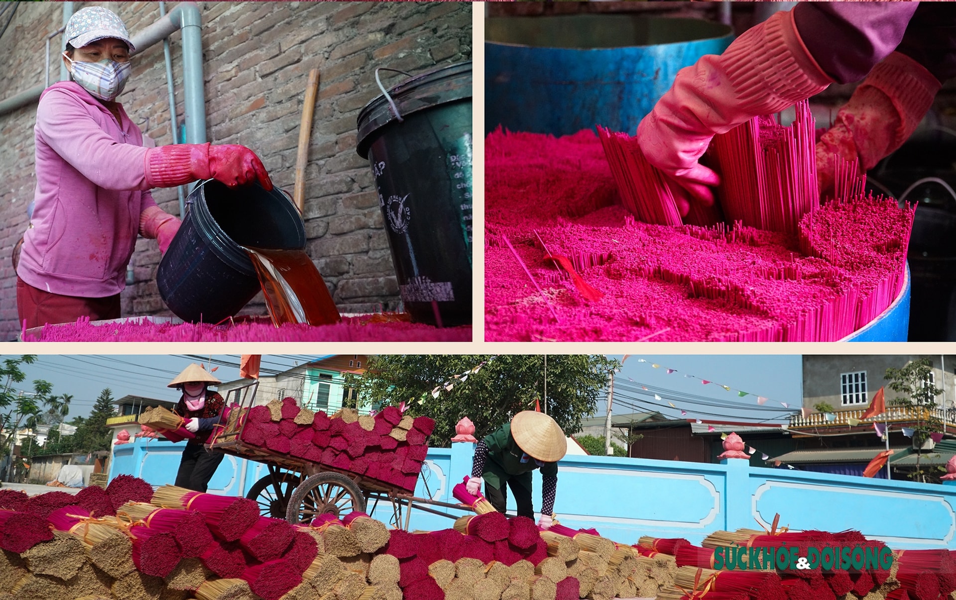 Những đóa tăm hương ở Quảng Phú Cầu Những đóa tăm hương ở Quảng Phú Cầu