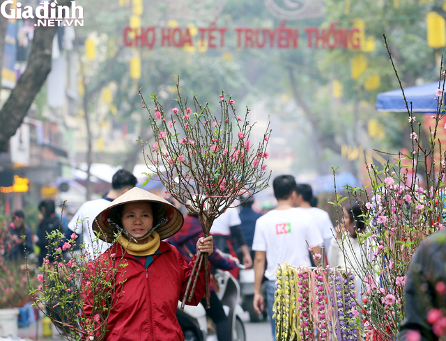 Hà Nội sẽ tổ chức 91 điểm chợ hoa phục vụ Tết Nguyên đán Quý Mão 2023 - Ảnh 1.