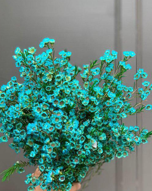 photo-1672330447978 photo-1672330447978