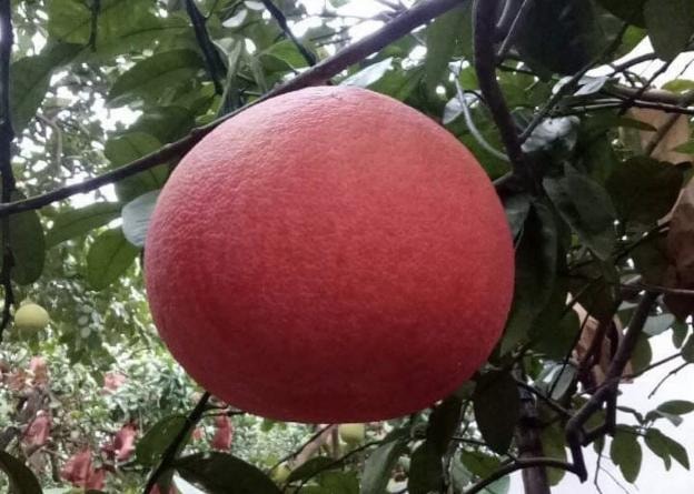 photo-1672901829466 photo-1672901829466