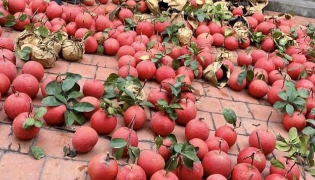 photo-1672901834616 photo-1672901834616