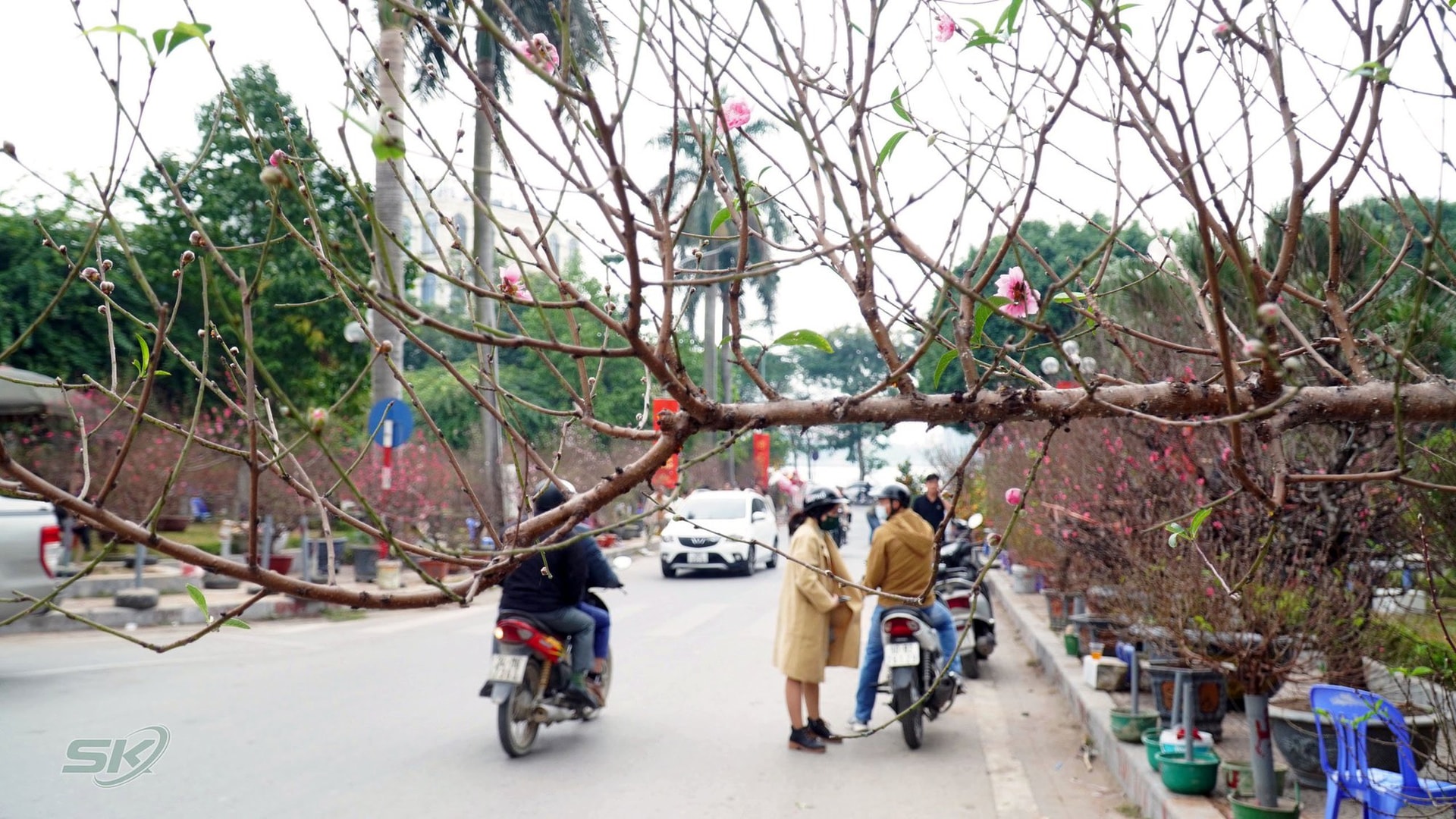 Chợ hoa Hà Nội rực rỡ sắc màu ngày cận Tết - Ảnh 7.