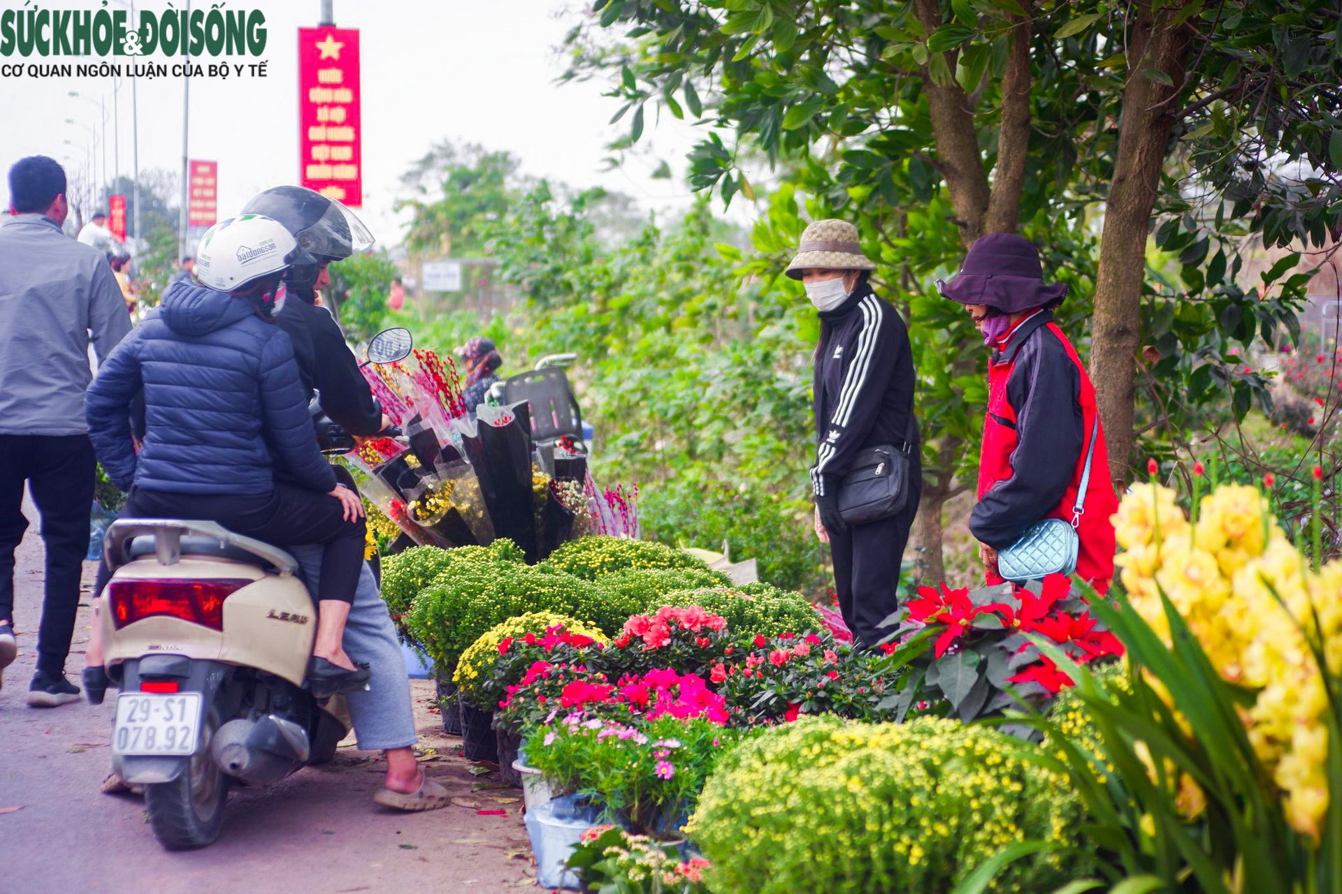 Chợ hoa lớn nhất Hà Nội hối hả phục vụ dịp cận Tết - Ảnh 6.