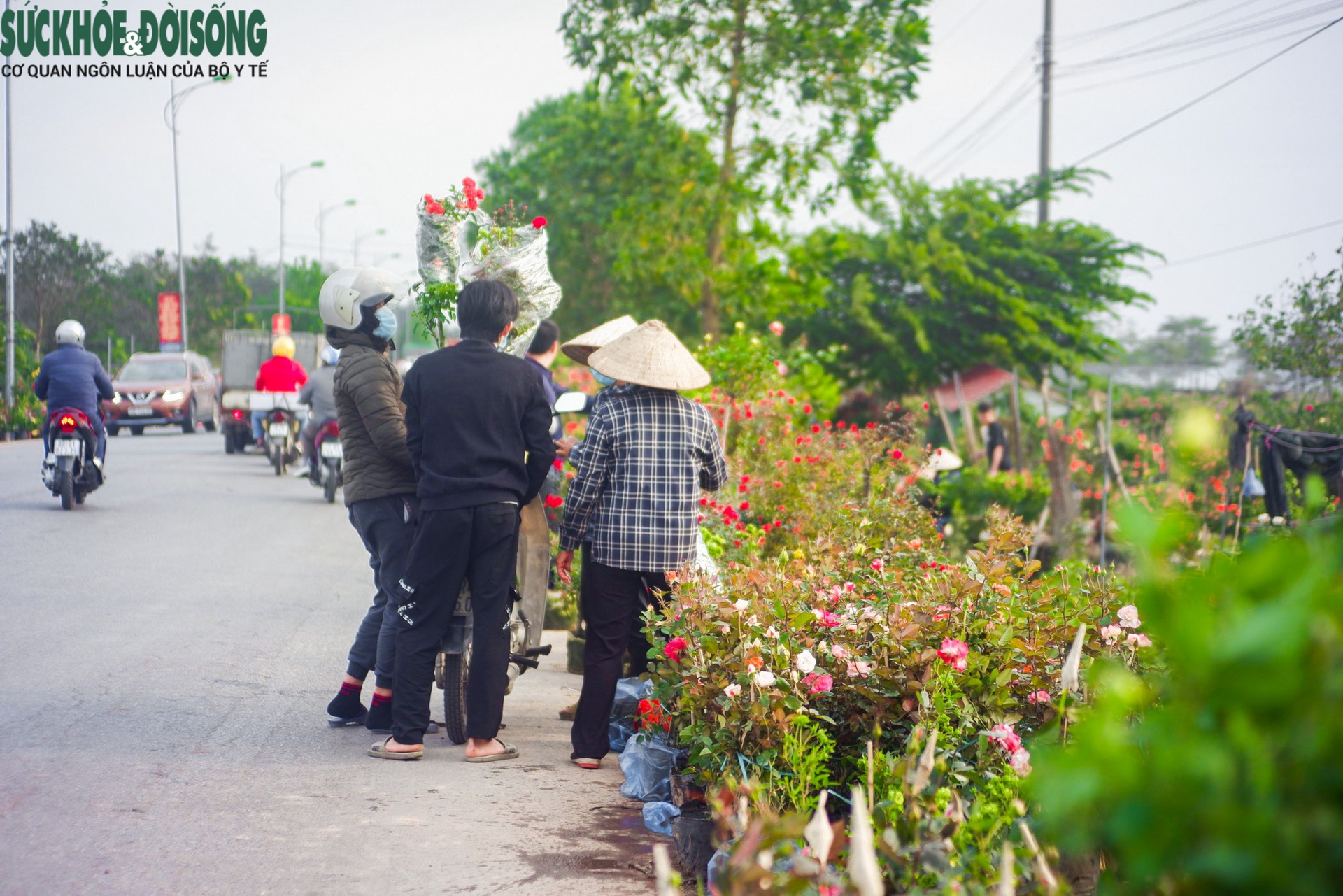 Chợ hoa lớn nhất Hà Nội hối hả phục vụ dịp cận Tết - Ảnh 7.