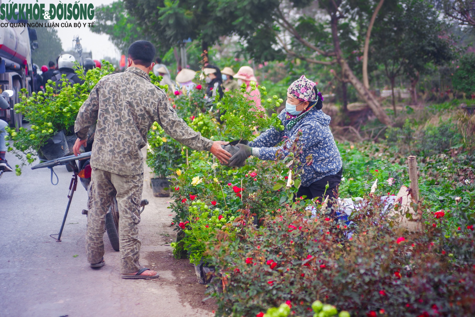 Chợ hoa lớn nhất Hà Nội hối hả phục vụ dịp cận Tết - Ảnh 8.