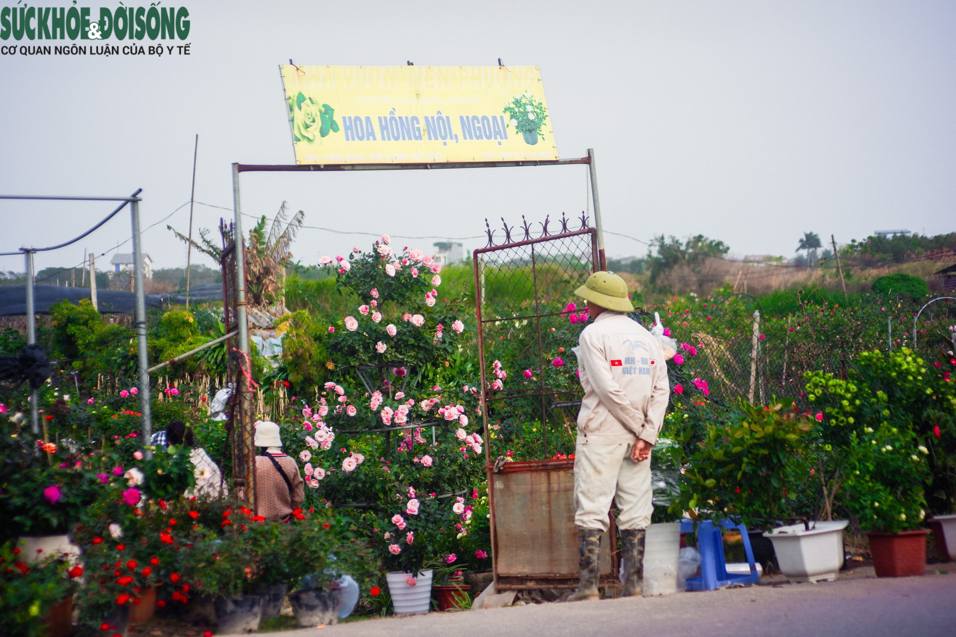 Chợ hoa lớn nhất Hà Nội hối hả phục vụ dịp cận Tết - Ảnh 10.