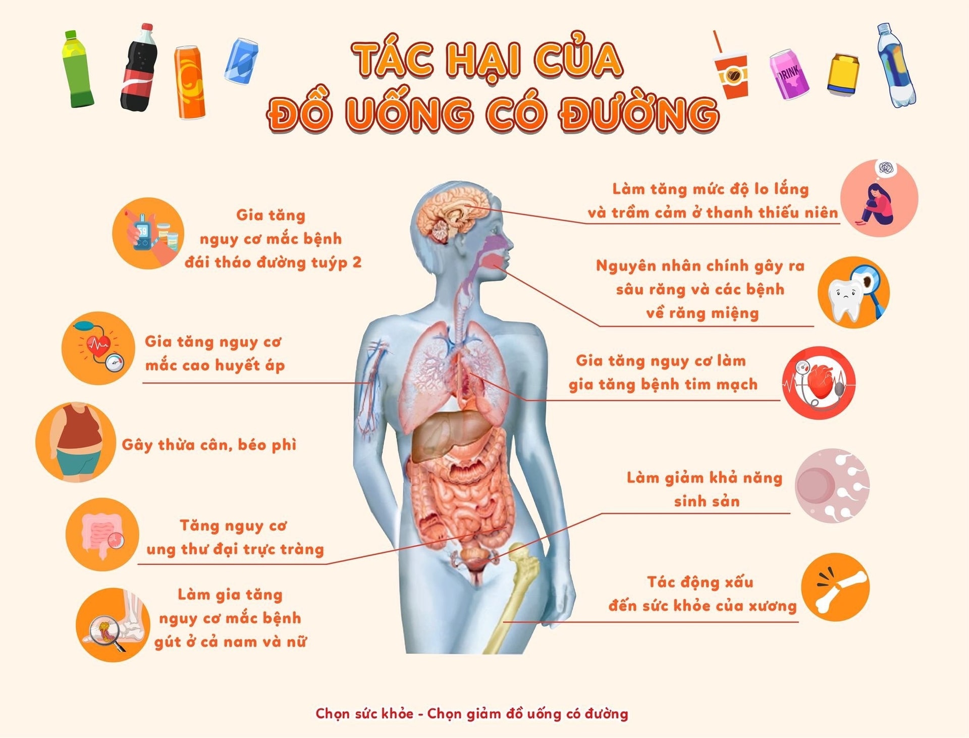 Vì sao WHO và các chuyên gia y tế khuyến cáo giảm tiêu thụ đồ uống có đường? - Ảnh 3.