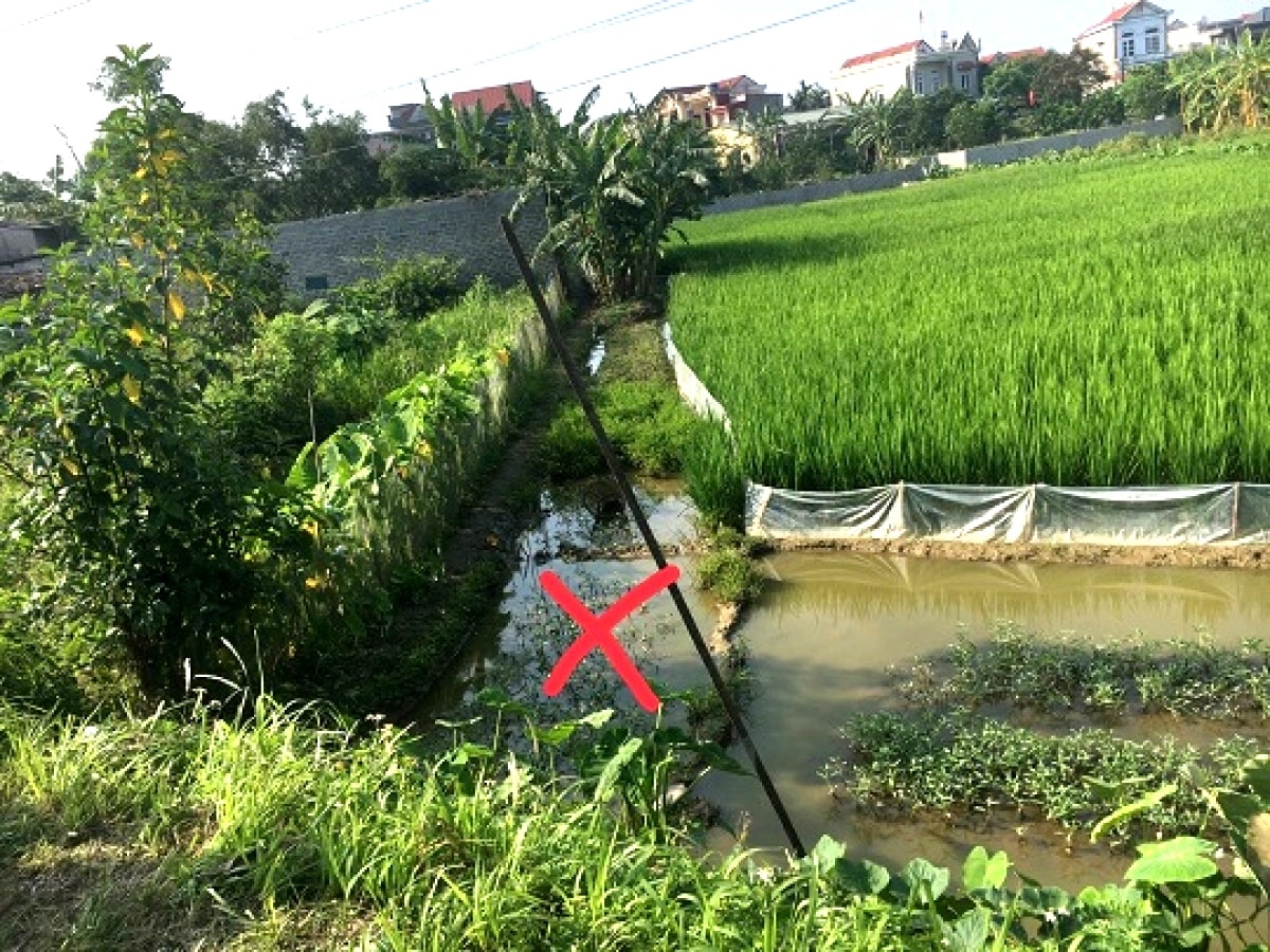 Dùng diện bẫy chuột ở ruộng làm hàng xóm tử vong, người đàn ông huyện Ninh Giang bị phạt 18 tháng tù - Ảnh 1.