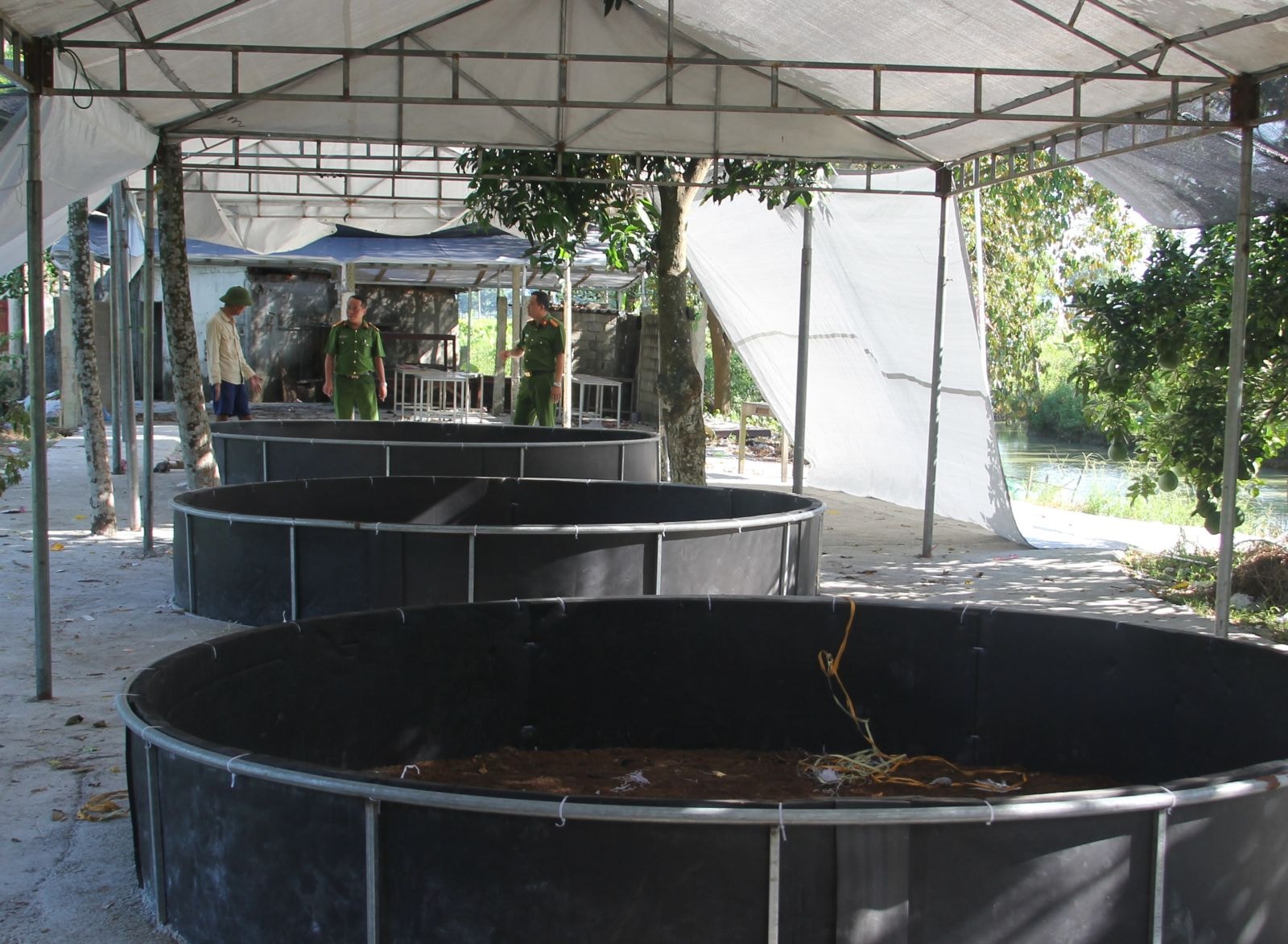 Triệt phá sới gà ăn tiền với số lượng người tham gia “khủng” - Ảnh 1. Triệt phá sới gà ăn tiền với số lượng người tham gia “khủng” - Ảnh 1.