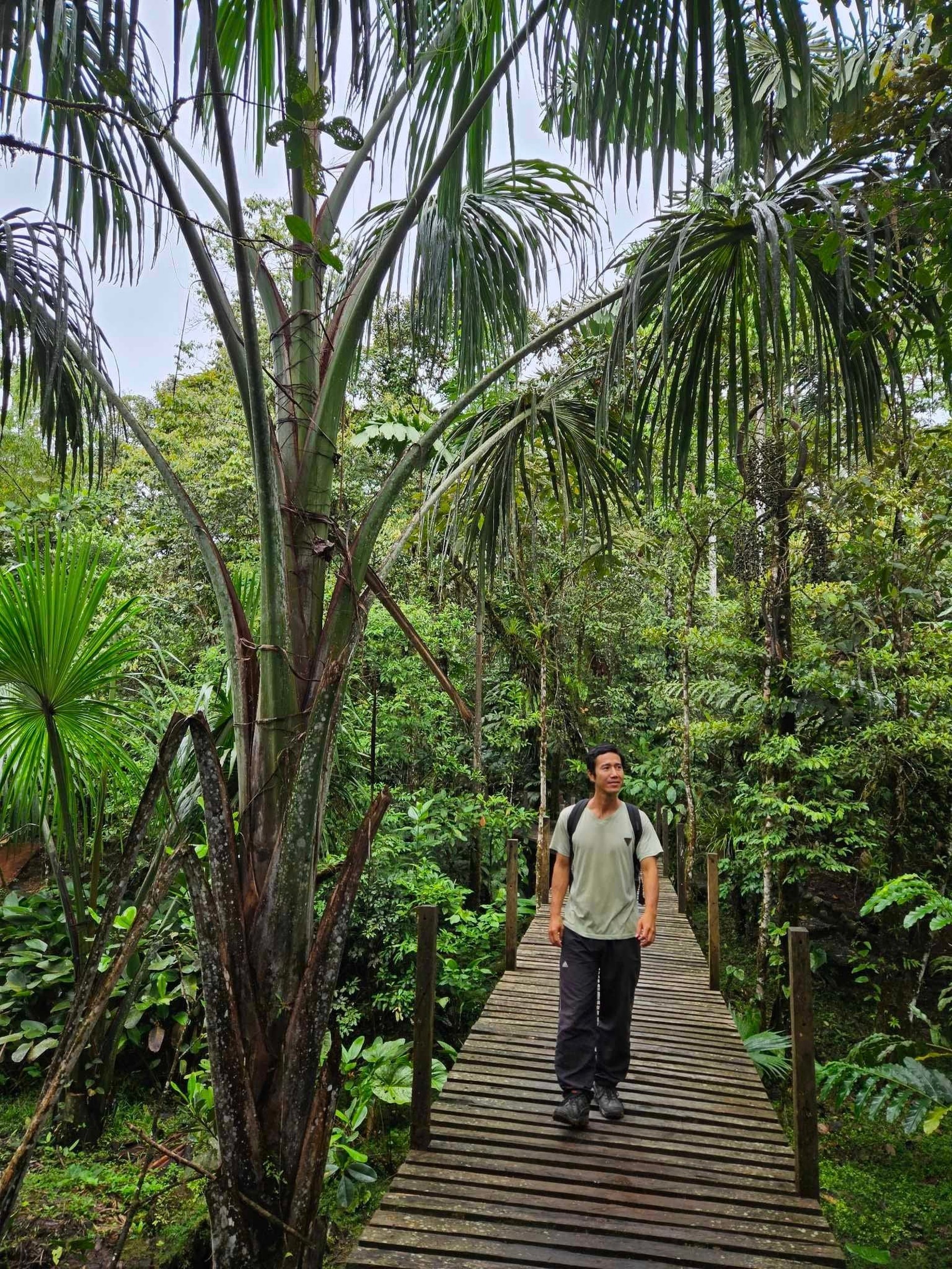 Cô gái Mỹ xinh đẹp theo chồng Việt bỏ phố về quê, chỉ ăn hoa quả để sống - Ảnh 13. Cô gái Mỹ xinh đẹp theo chồng Việt bỏ phố về quê, chỉ ăn hoa quả để sống - Ảnh 13.