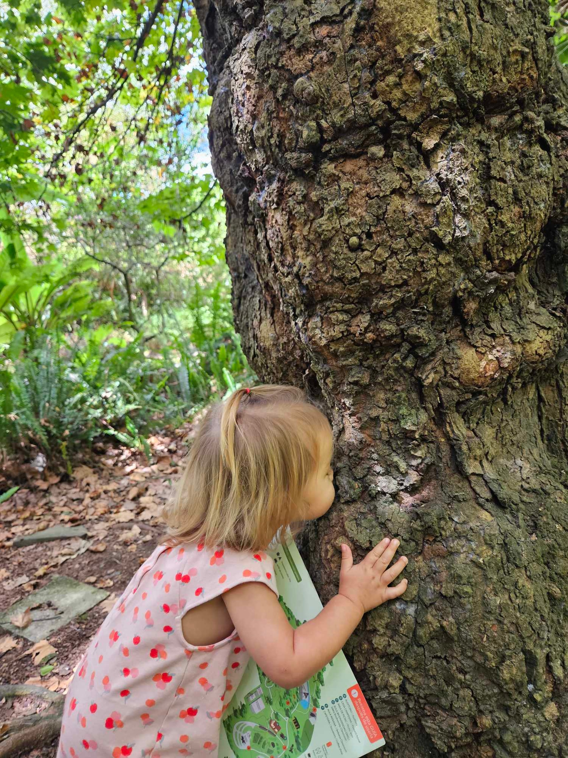 Cô gái Mỹ xinh đẹp theo chồng Việt bỏ phố về quê, chỉ ăn hoa quả để sống - Ảnh 10. Cô gái Mỹ xinh đẹp theo chồng Việt bỏ phố về quê, chỉ ăn hoa quả để sống - Ảnh 10.