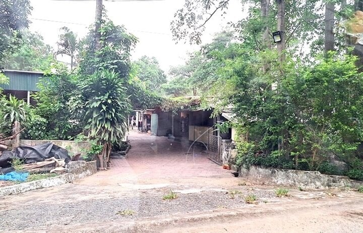 Thanh niên dùng súng hơi bắn vợ bạn nhập viện rồi bỏ trốn - Ảnh 1.