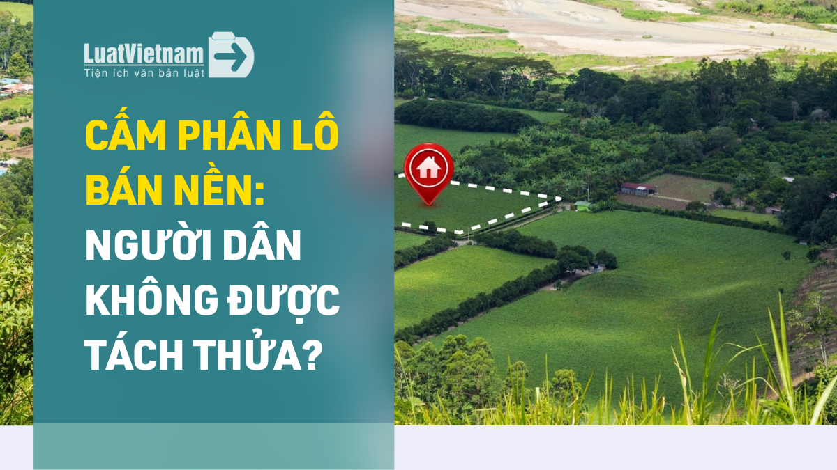 có đúng không được tách thửa từ 01/01/2025