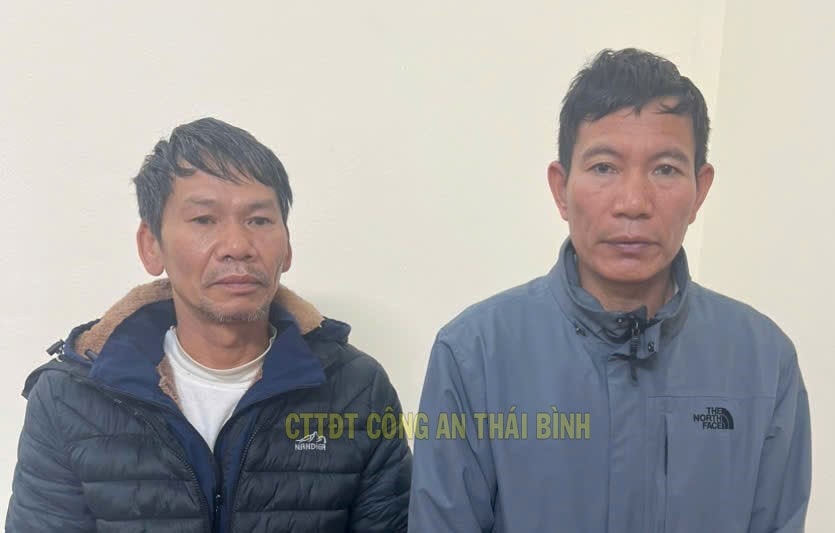 Thu mua lợn nhiễm dịch bệnh về giết mổ rồi bán ra thị trường- Ảnh 1.