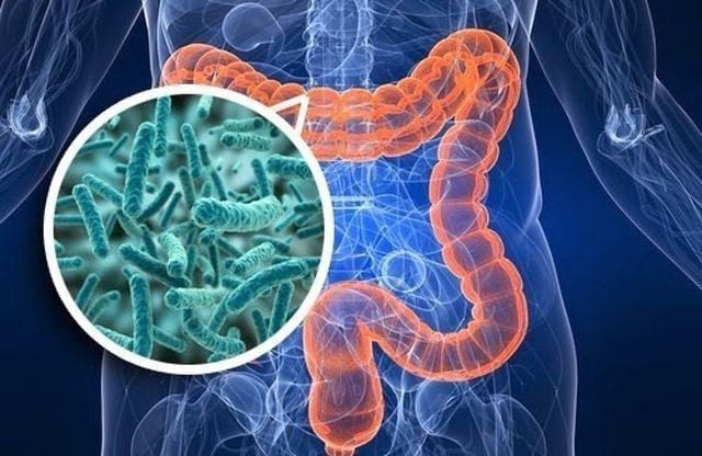 Phát hiện một món ăn nhẹ rẻ tiền giúp ngăn ngừa ung thư đại tràng- Ảnh 3.