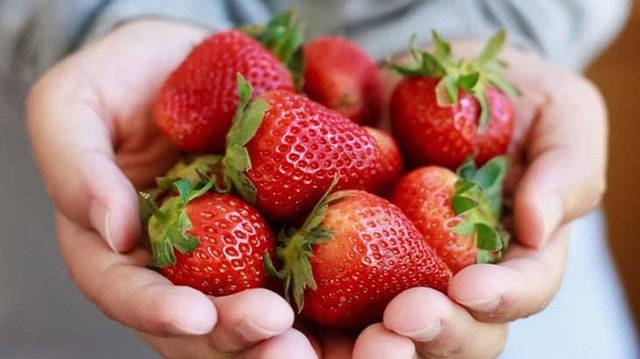 8 thực phẩm ngon miệng và giúp làn da sáng mịn- Ảnh 1.