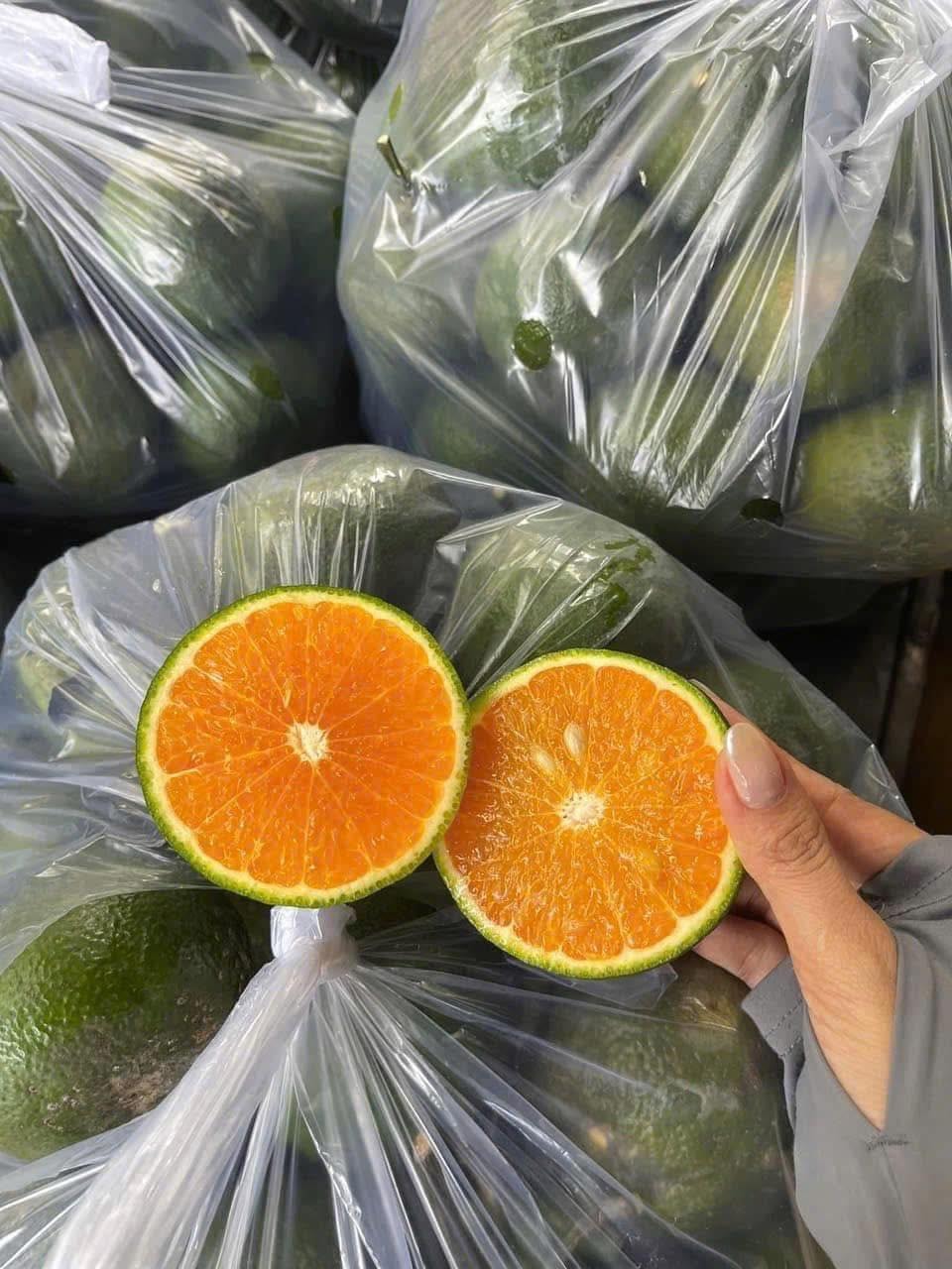 Loại cam Việt rẻ hơn quýt sim bán đầy thị trường giá chưa đến chục nghìn đồng/kg- Ảnh 8.