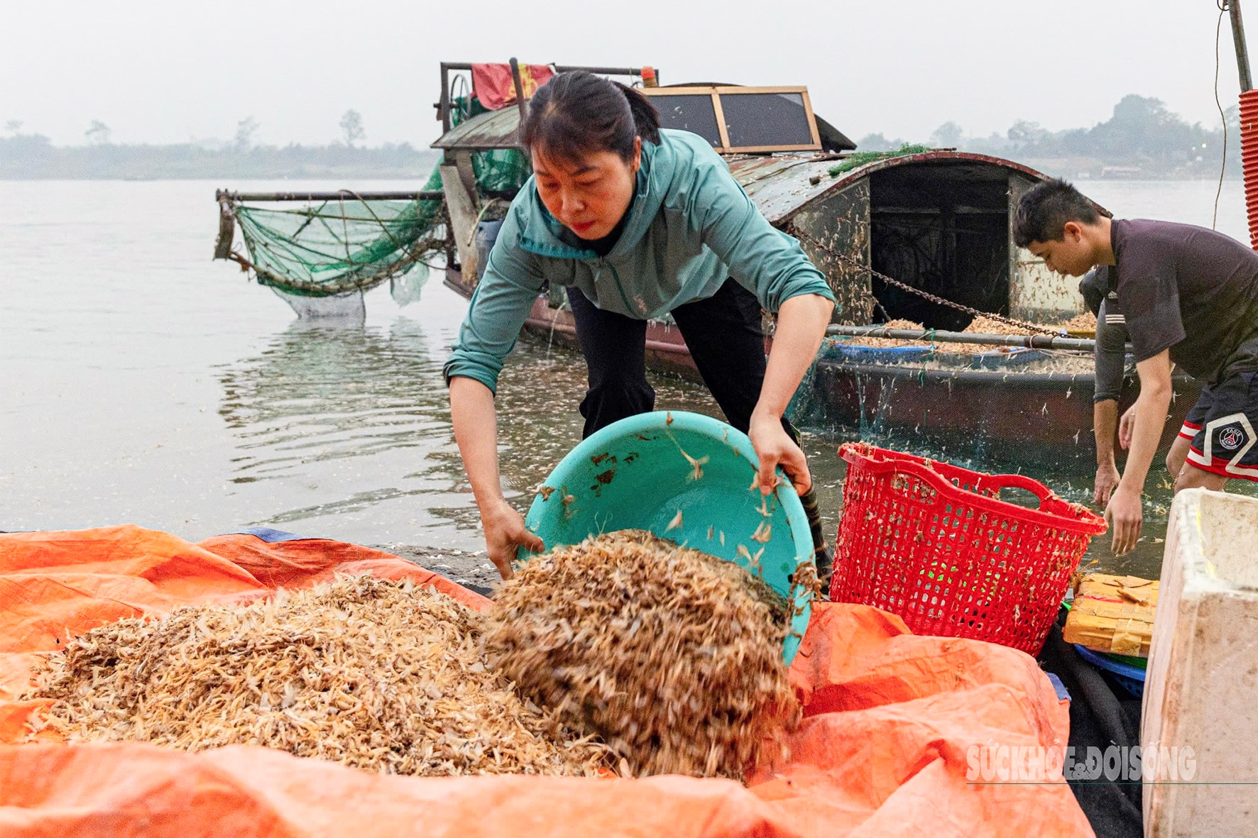 Mùa săn ‘lộc trời’ trên sông Hồng- Ảnh 6.