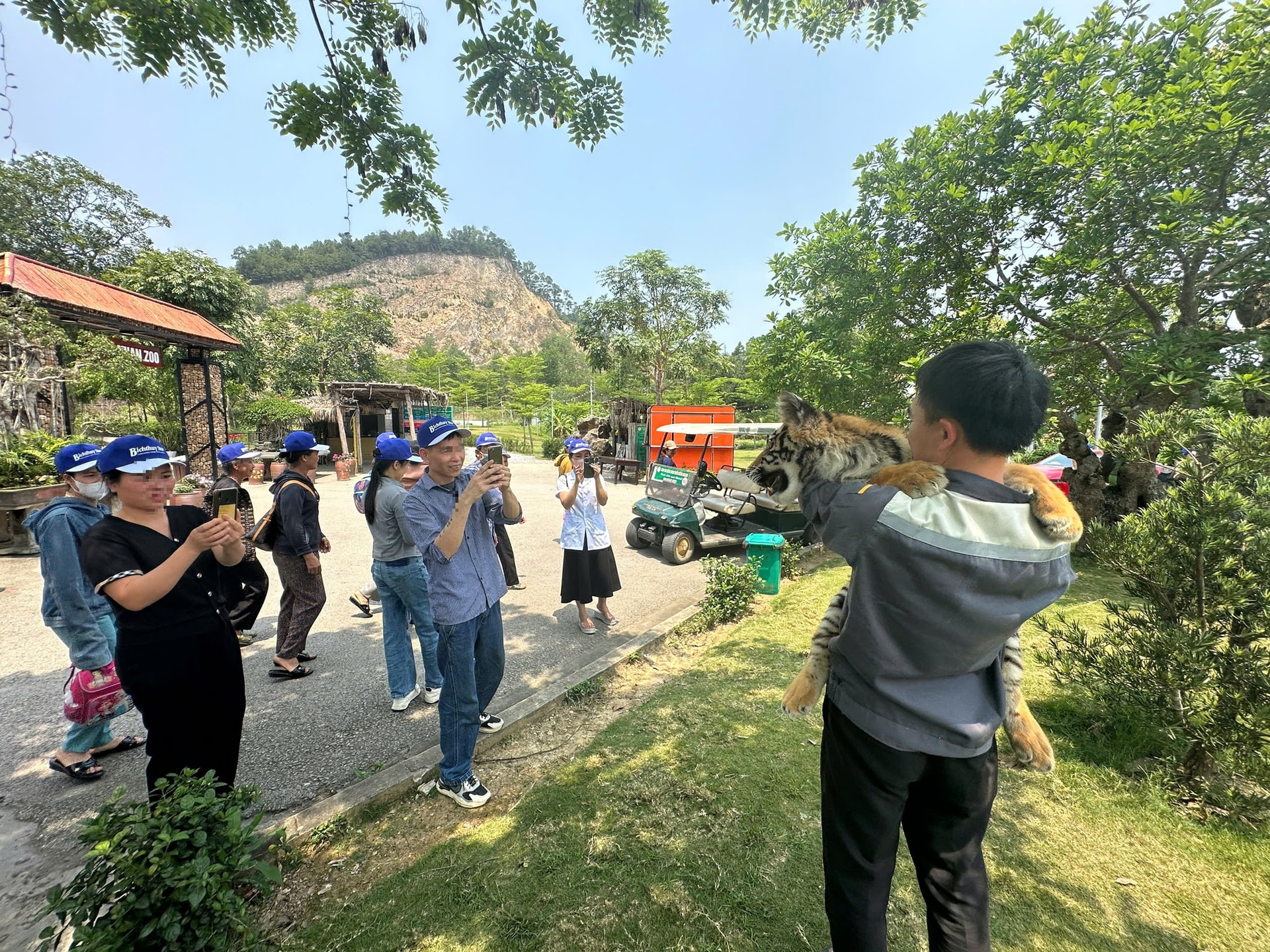 'Tuýt còi’ khu du lịch để du khách ôm, vuốt ve hổ- Ảnh 5.